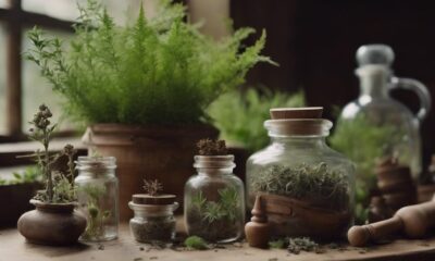 herbalist guide for beginners