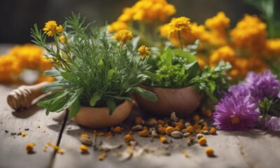 herbs for serotonin boost
