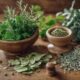herbs to boost memory