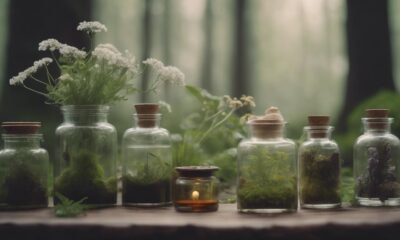 holistic herbalism in practice