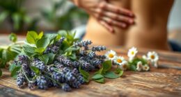 herbs for chronic back
