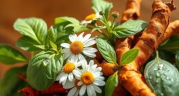 herbs reducing age related inflammation