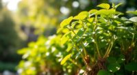 stress reduction for longevity