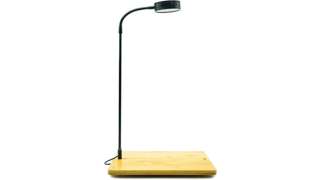 aquarium plant landscape lighting