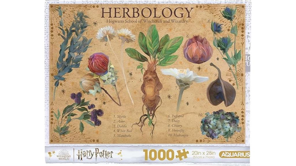 aquarius harry potter puzzle