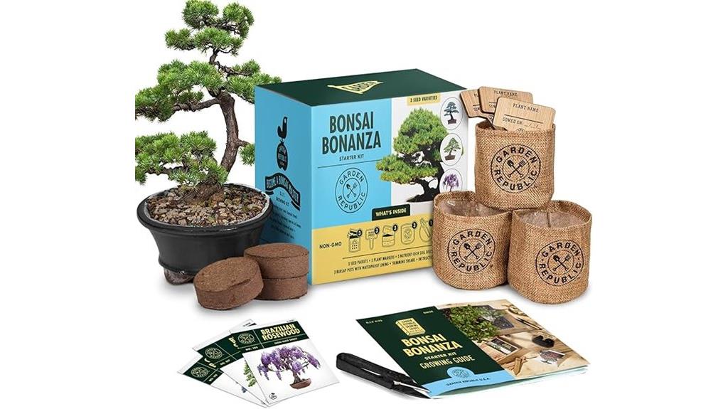 bonsai kit with seeds