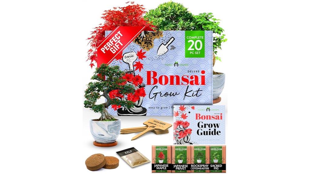 bonsai kit with varieties