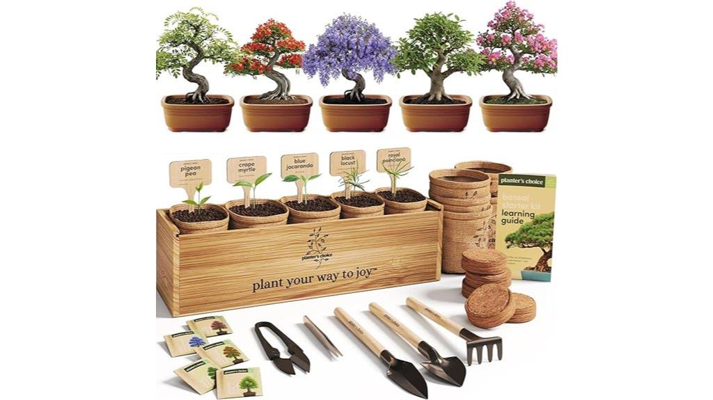 bonsai tree starter kit
