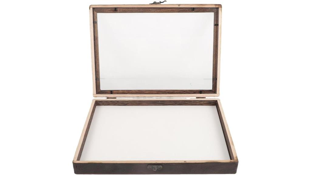 clear insect display case