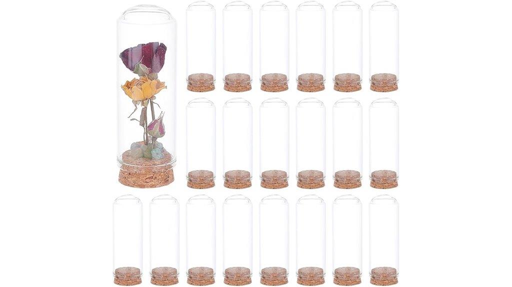 decorative dome jar set