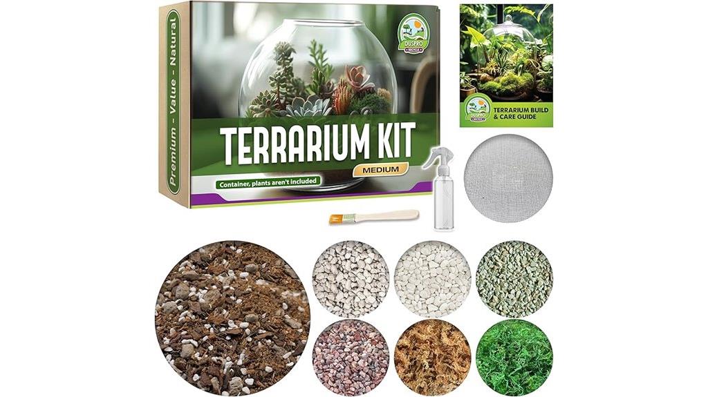 diy air plant kit