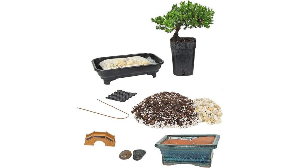 elegant bonsai tree kit
