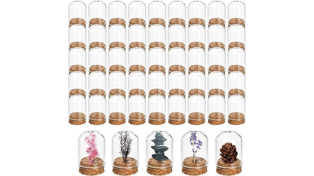 fifty mini glass cloche jars