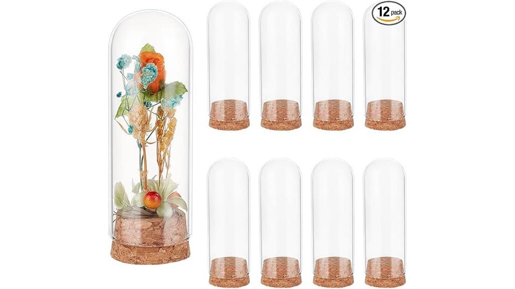 glass dome with cork base