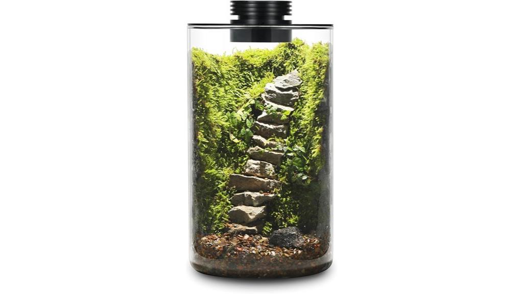 glass terrarium with grow light