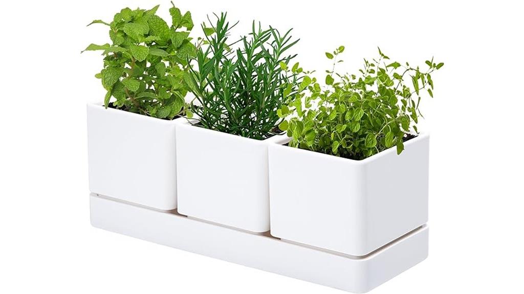 herb garden planter set