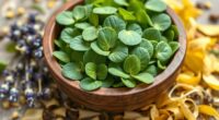 herbs enhancing mental performance
