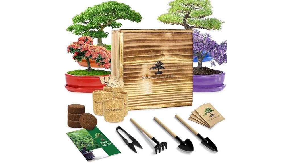indoor bonsai tree kit
