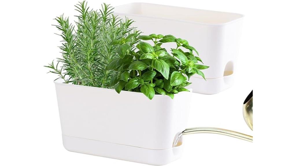 indoor herb garden kit