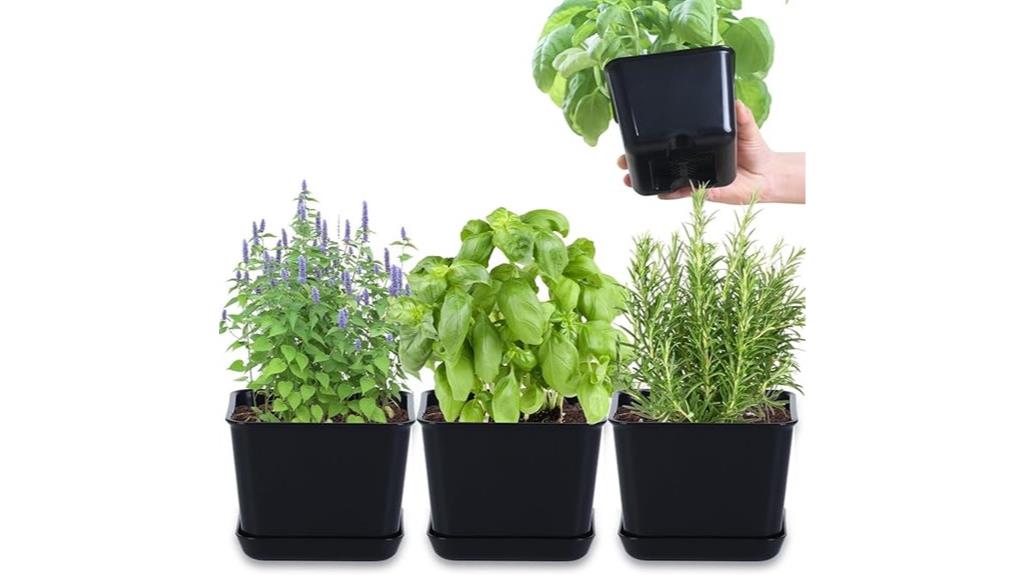 indoor herb planter kit