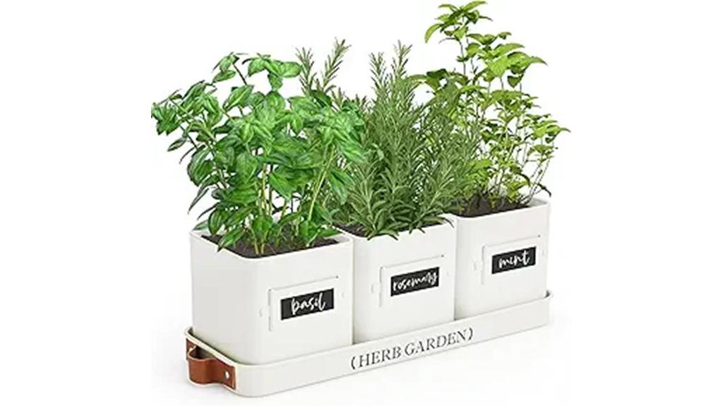 indoor herb planter set