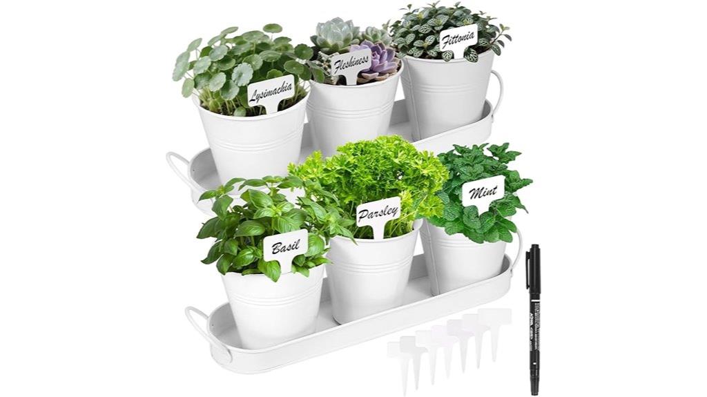 indoor herb planting kit
