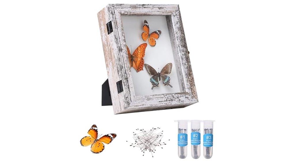 insect display wall mount