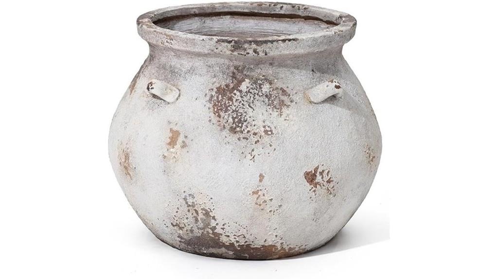 large round plant pot