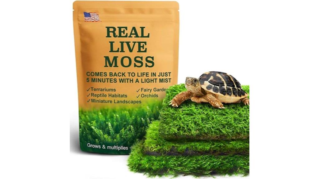 live moss three pack