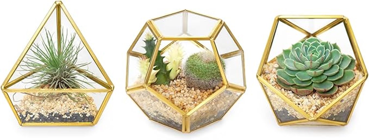 mini glass geometric terrariums