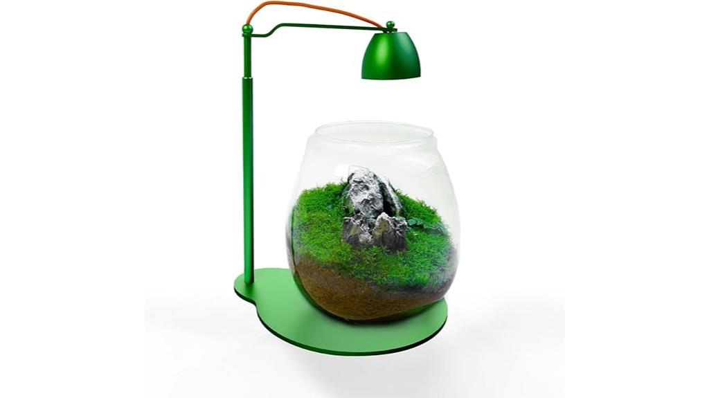 miniature indoor terrarium kit