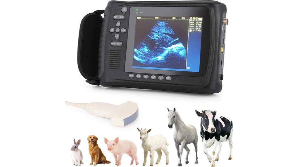 portable pregnancy ultrasound device