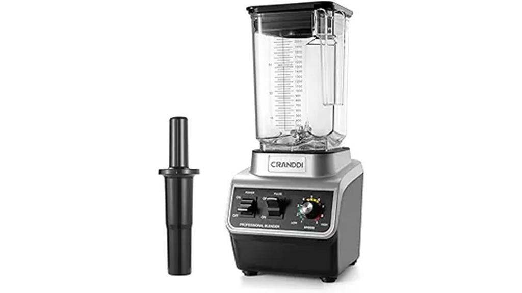 professional smoothie blender