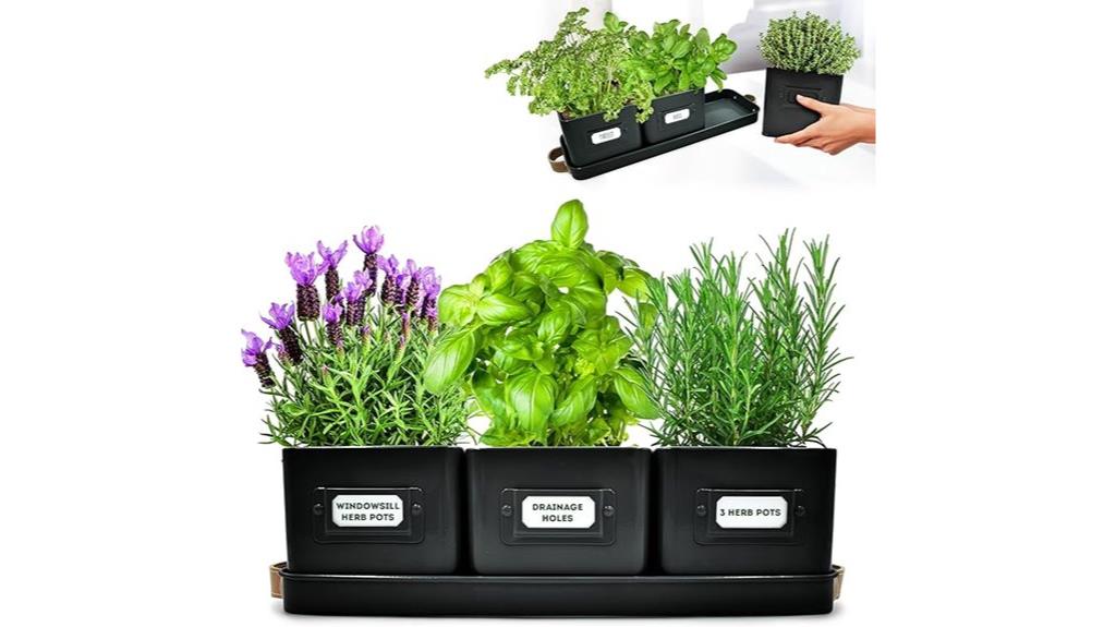 set of 3 indoor herb planters