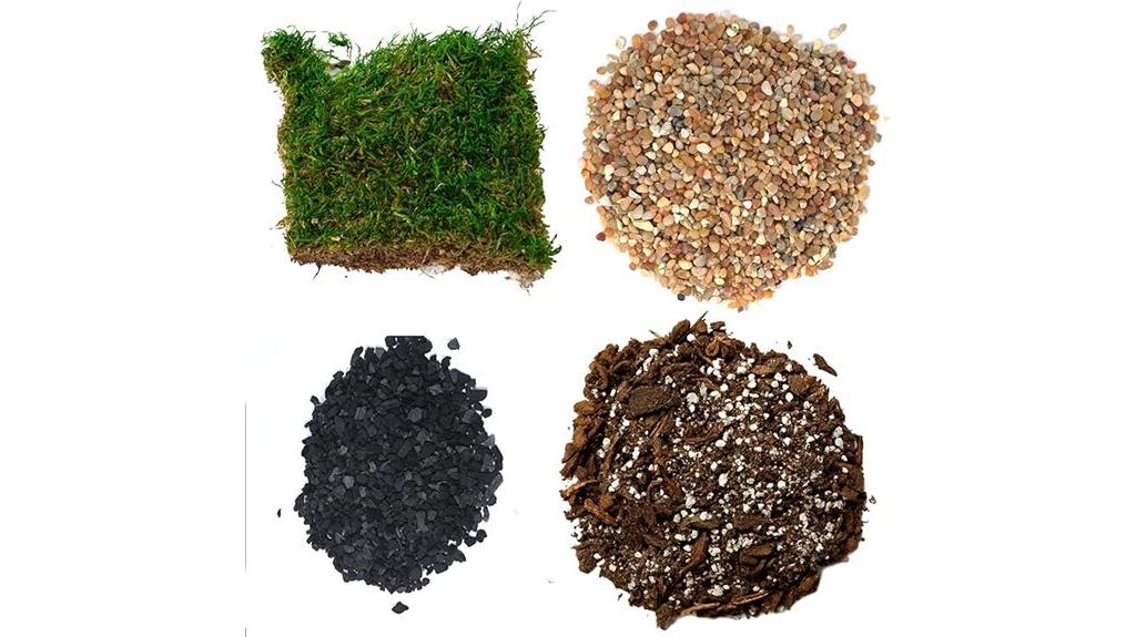 succulent planting kit supplies