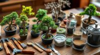 top bonsai starter kits