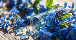 top borage oil capsules