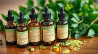 top high dose moringa extracts
