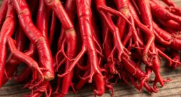 top red ginseng selections