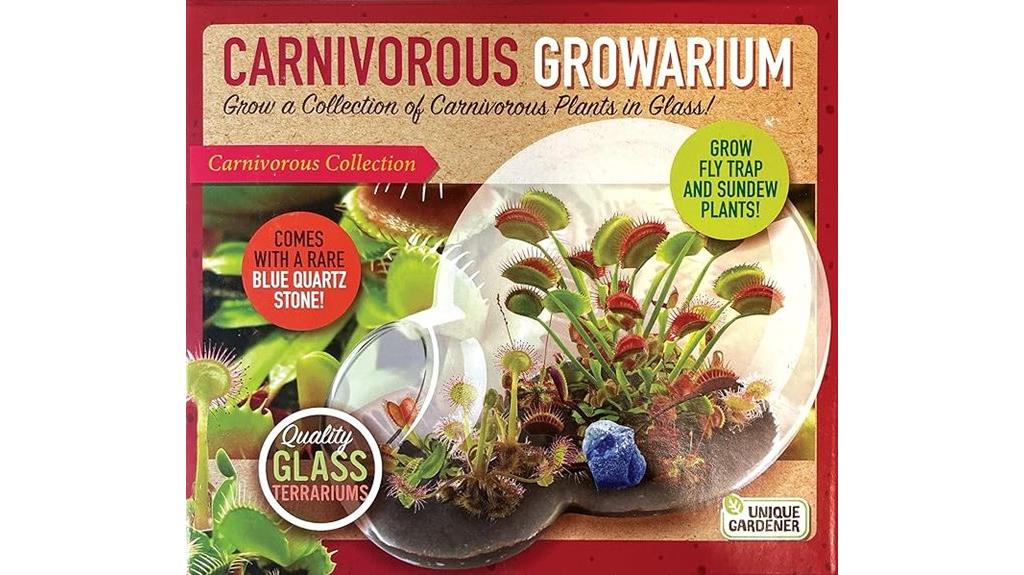 venus flytrap growing kit