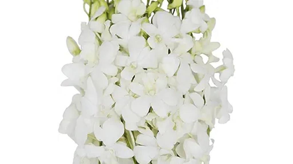 white orchid wedding flowers