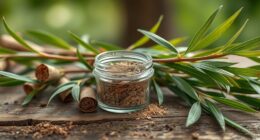 willow bark for pain