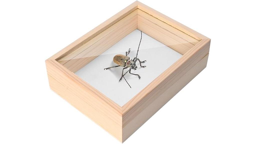 wooden frame insect display