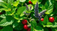 herbal remedies for vitality
