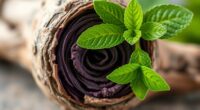 herbal yin yang equilibrium