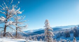 warm winter motivation quotes