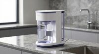 apartment countertop water options