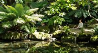 different reactions to plant based calm