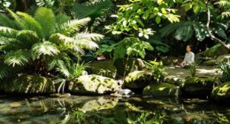 different reactions to plant based calm