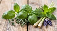 gentle energizing herbal remedies